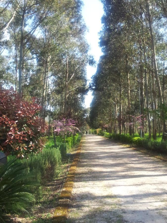 Il Nibbio Reale Country House Rocca d'Evandro Buitenkant foto